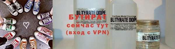индика Краснослободск