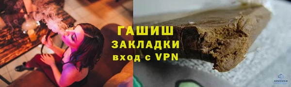 индика Краснослободск
