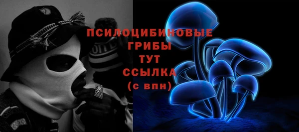 индика Краснослободск