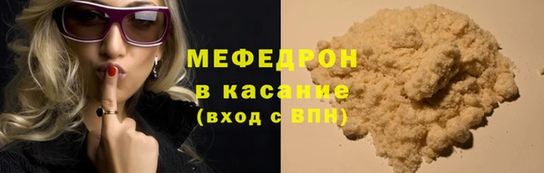 индика Краснослободск