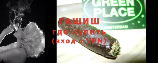 индика Краснослободск