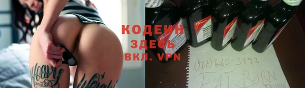 индика Краснослободск