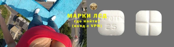 индика Краснослободск