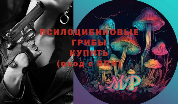сатива Краснотурьинск
