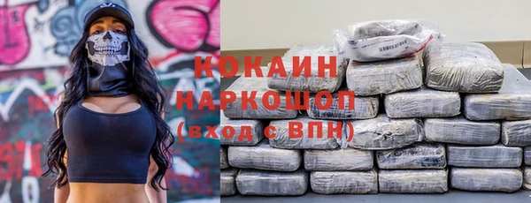 индика Краснослободск