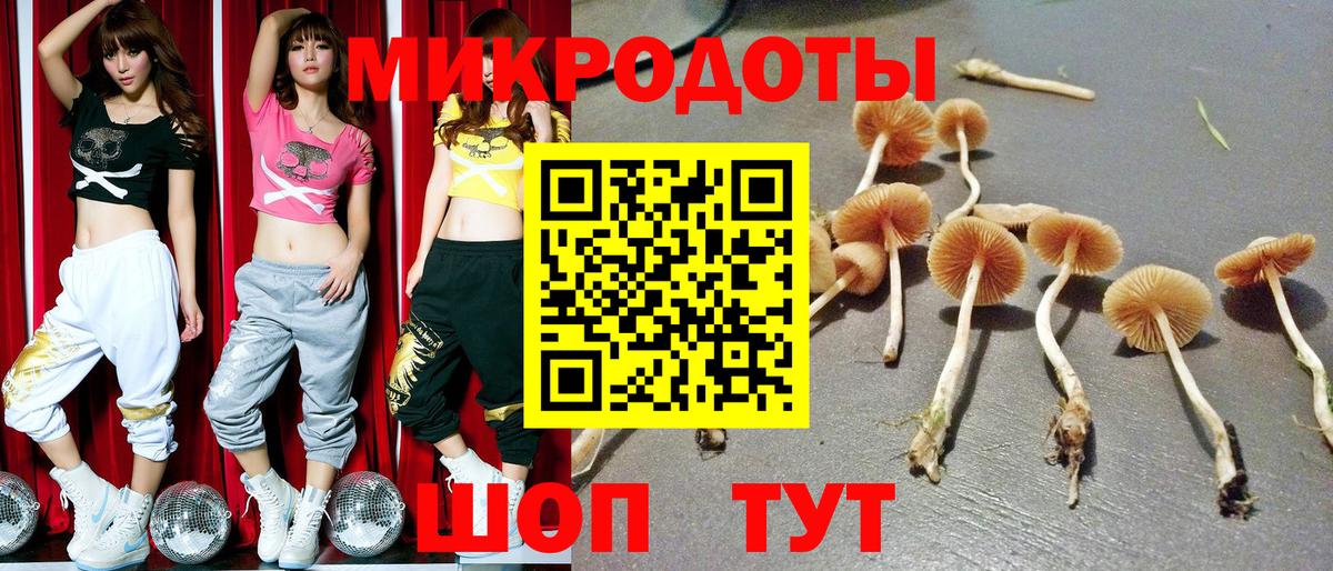 Малгобек  Псилоцибиновые грибы Psilocybe  где можно купить наркотик  Вход с VPN  Псилоцибиновые грибы ЛСД 